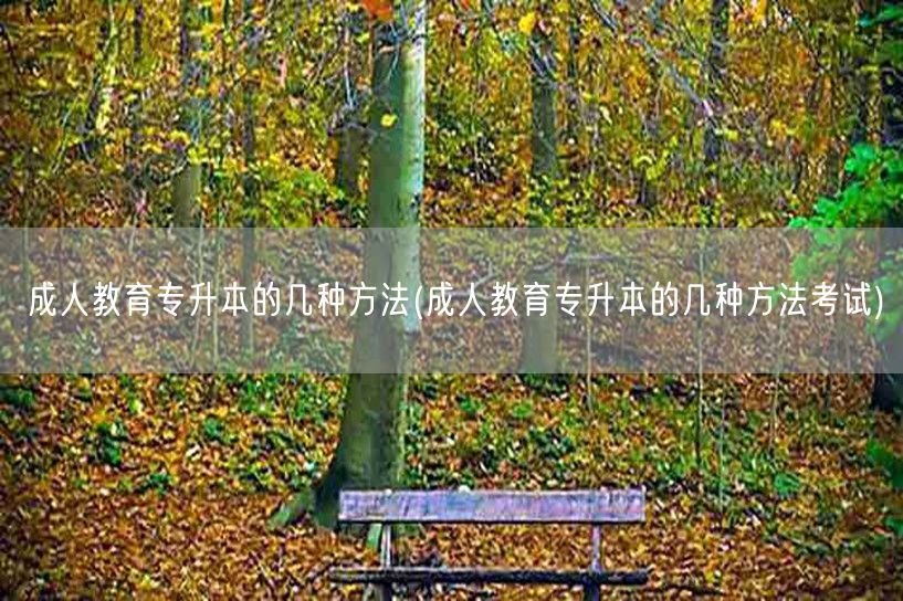 成人教育专升本的几种方法(成人教育专升本