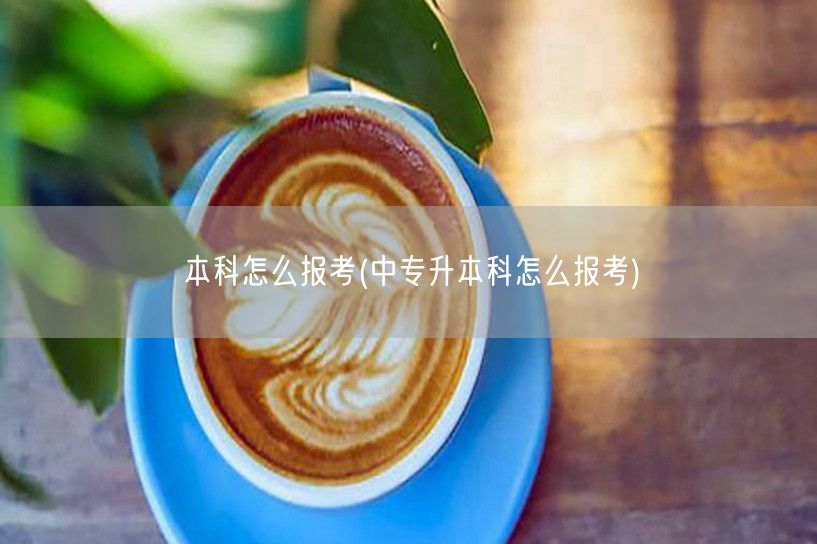 本科怎么报考(中专升本科怎么报考)