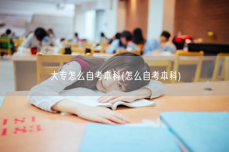 大专怎么自考本科(怎么自考本科)