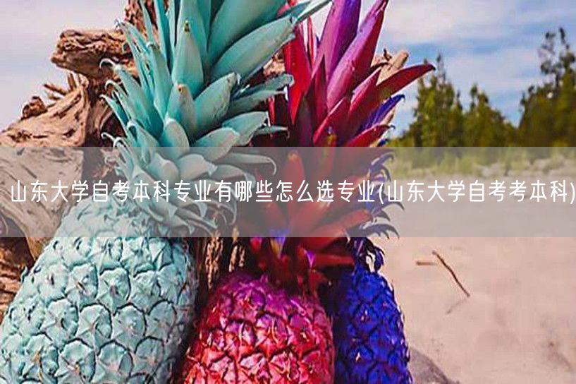 山东大学自考本科专业有哪些怎么选专业(山