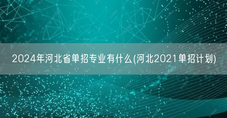 2024年河北省单招专业有什么(河北20