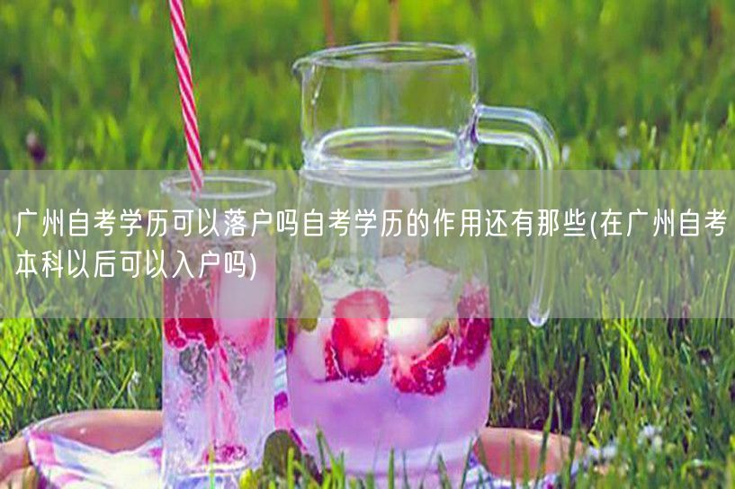 广州自考学历可以落户吗自考学历的作用还有