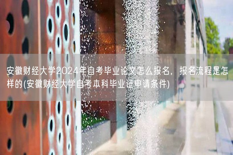 安徽财经大学2024年自考毕业论文怎么报