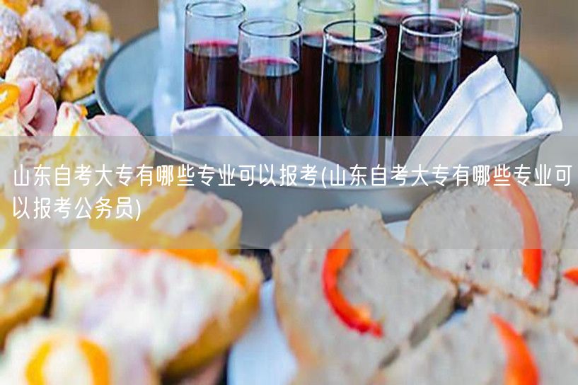 山东自考大专有哪些专业可以报考(山东自考