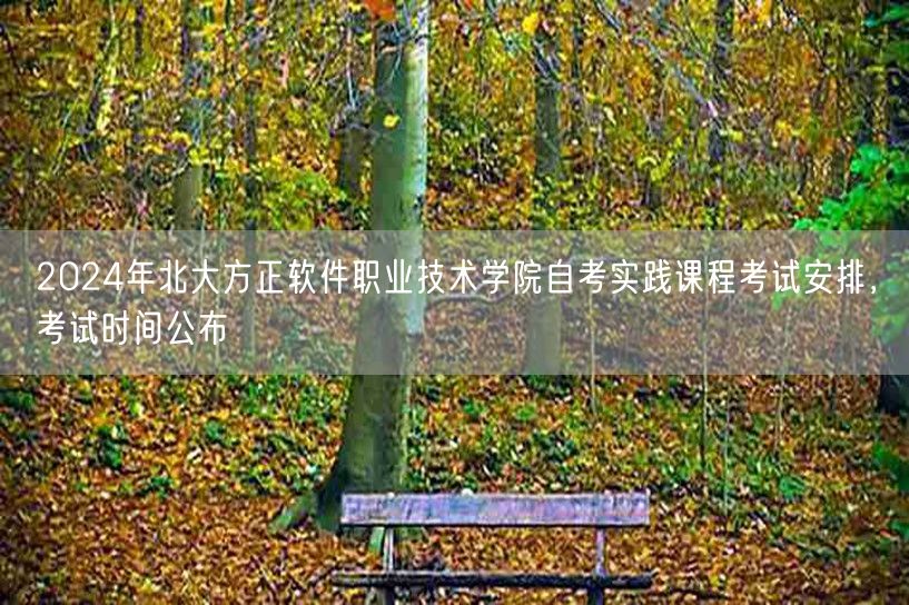 2024年北大方正软件职业技术学院自考实