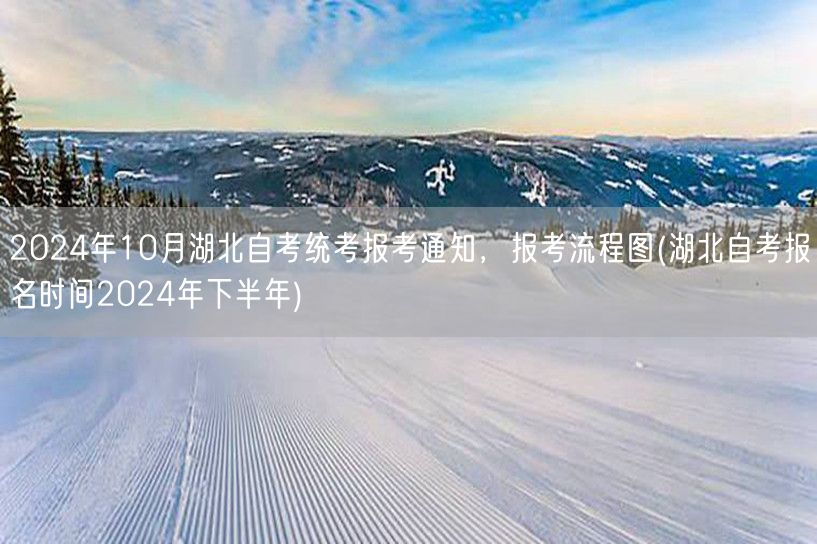 2024年10月湖北自考统考报考通知，报