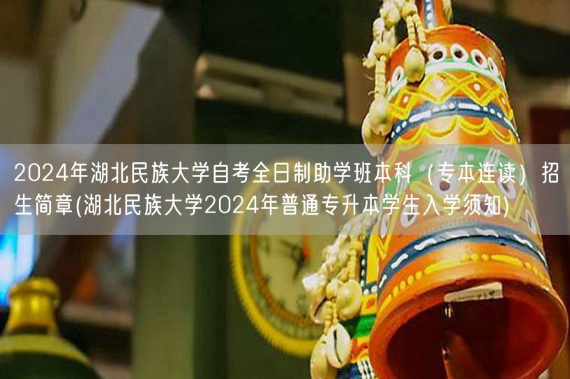 2024年湖北民族大学自考全日制助学班本