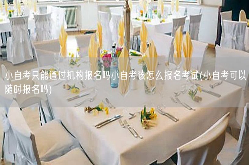 小自考只能通过机构报名吗小自考该怎么报名