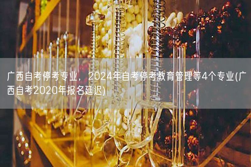 广西自考停考专业，2024年自考停考教育