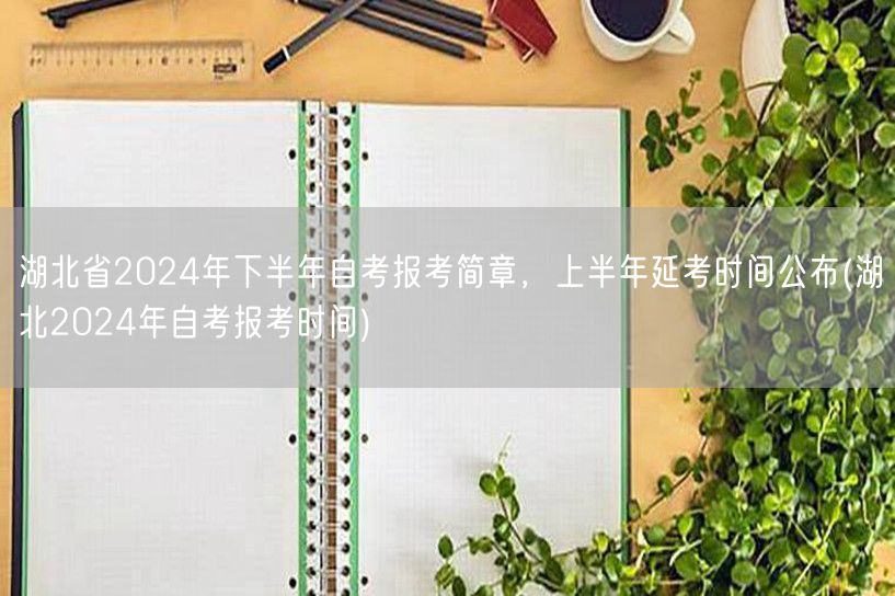 湖北省2024年下半年自考报考简章，上半