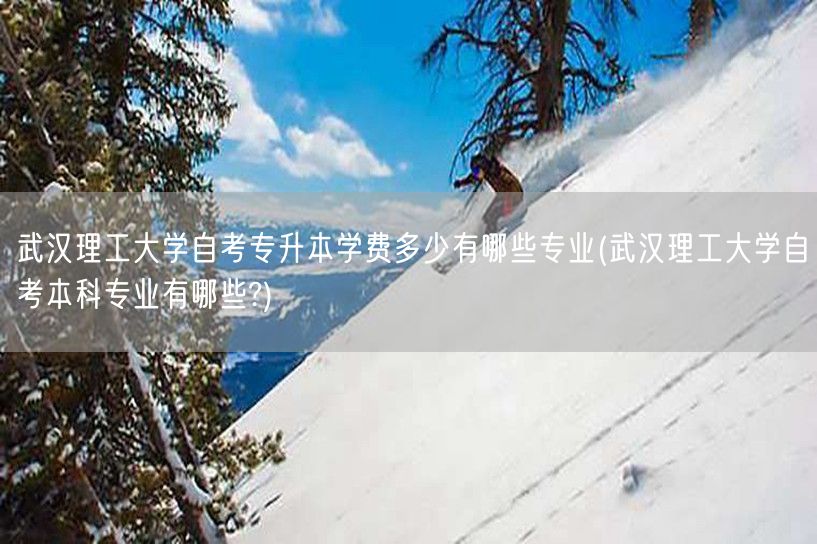 武汉理工大学自考专升本学费多少有哪些专业