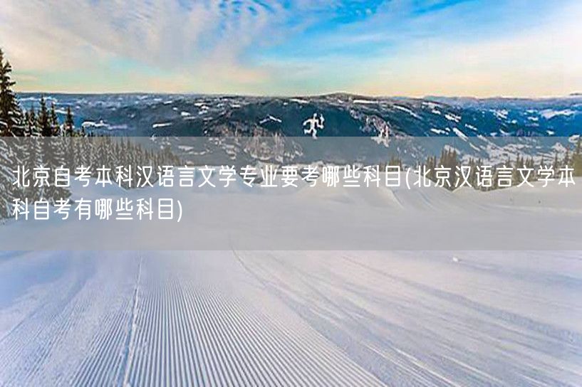 北京自考本科汉语言文学专业要考哪些科目(