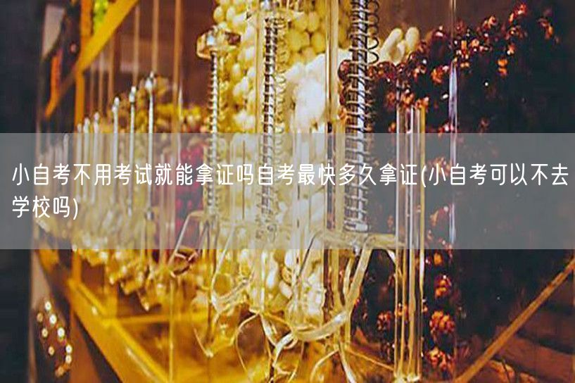 小自考不用考试就能拿证吗自考最快多久拿证