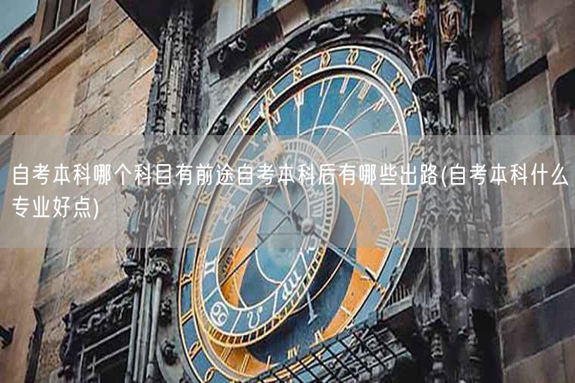 自考本科哪个科目有前途自考本科后有哪些出