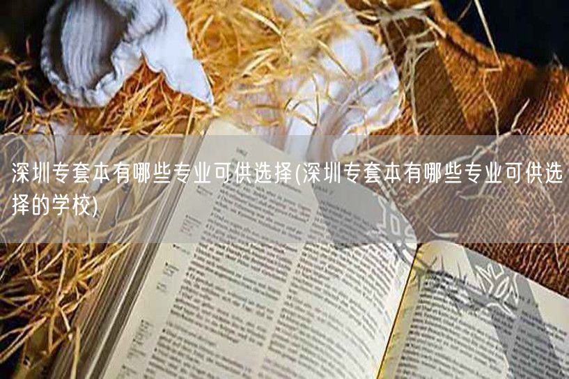 深圳专套本有哪些专业可供选择(深圳专套本