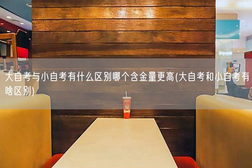 大自考与小自考有什么区别哪个含金量更高(