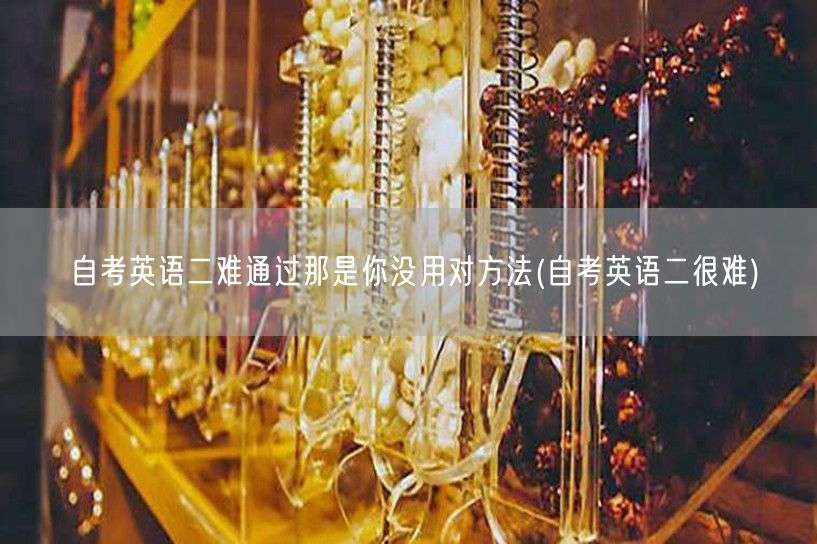 自考英语二难通过那是你没用对方法(自考英