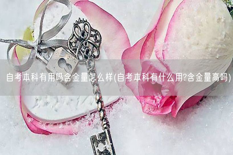 自考本科有用吗含金量怎么样(自考本科有什