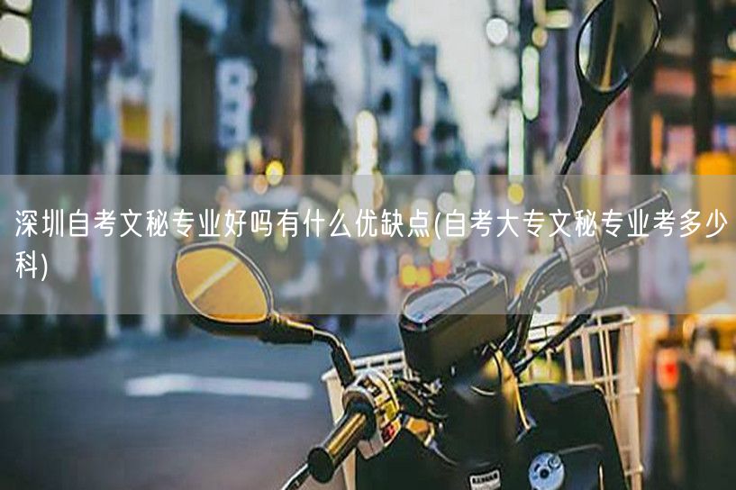 深圳自考文秘专业好吗有什么优缺点(自考大