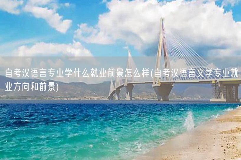 自考汉语言专业学什么就业前景怎么样(自考