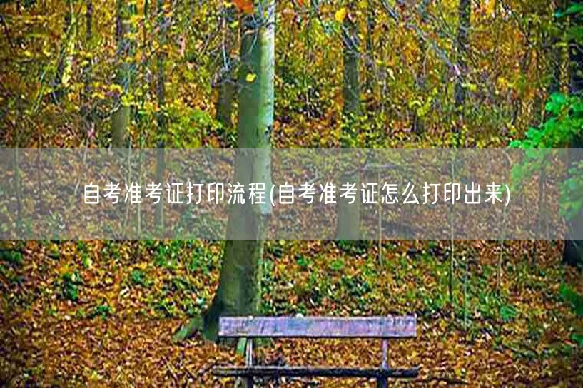 自考准考证打印流程(自考准考证怎么打印出