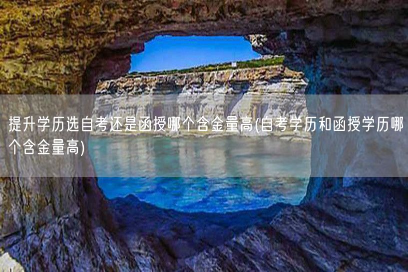 提升学历选自考还是函授哪个含金量高(自考