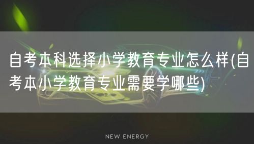 自考本科选择小学教育专业怎么样(自考本小
