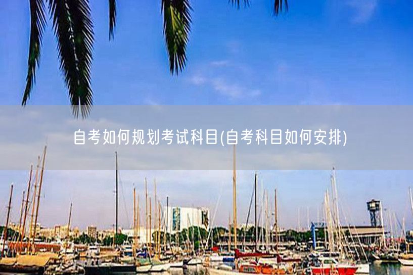 自考如何规划考试科目(自考科目如何安排)
