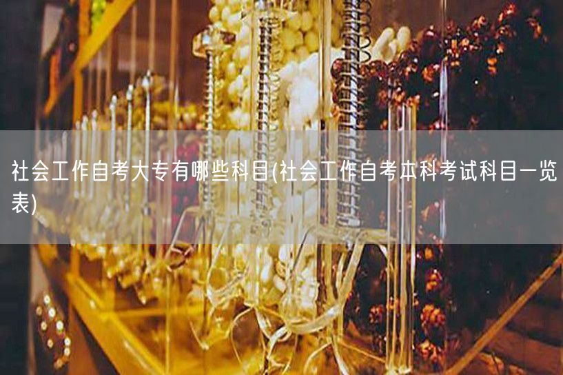 社会工作自考大专有哪些科目(社会工作自考