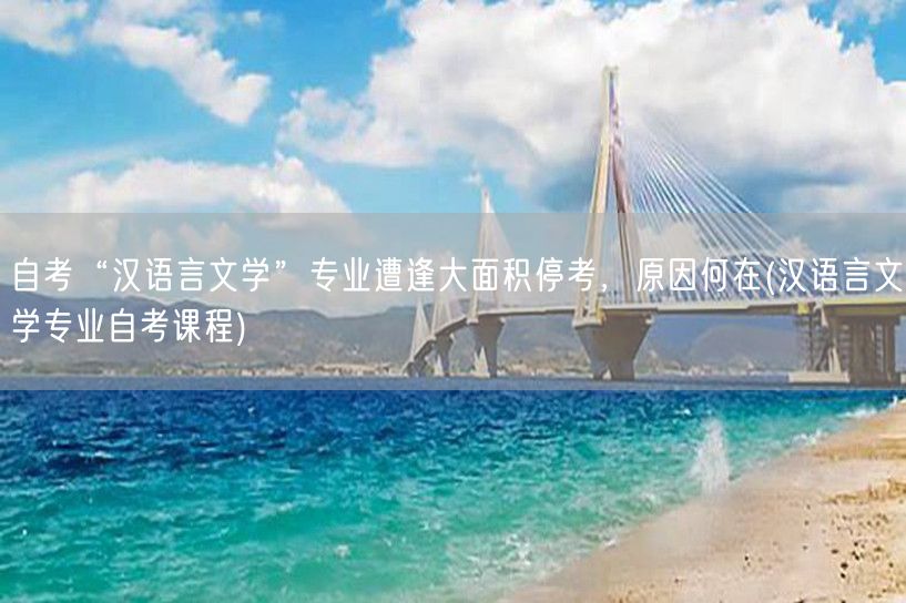 自考“汉语言文学”专业遭逢大面积停考，原