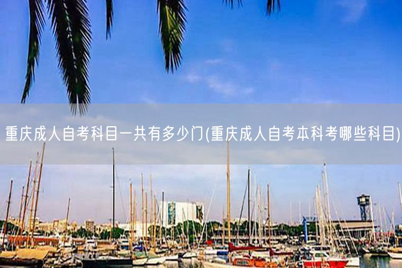重庆成人自考科目一共有多少门(重庆成人自