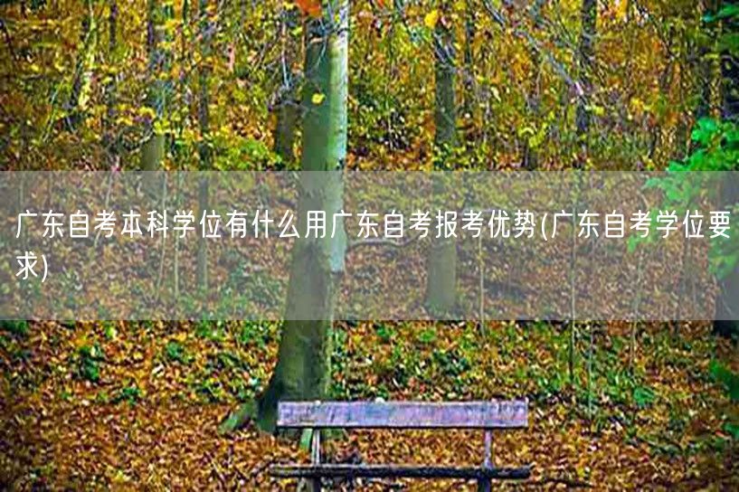 广东自考本科学位有什么用广东自考报考优势