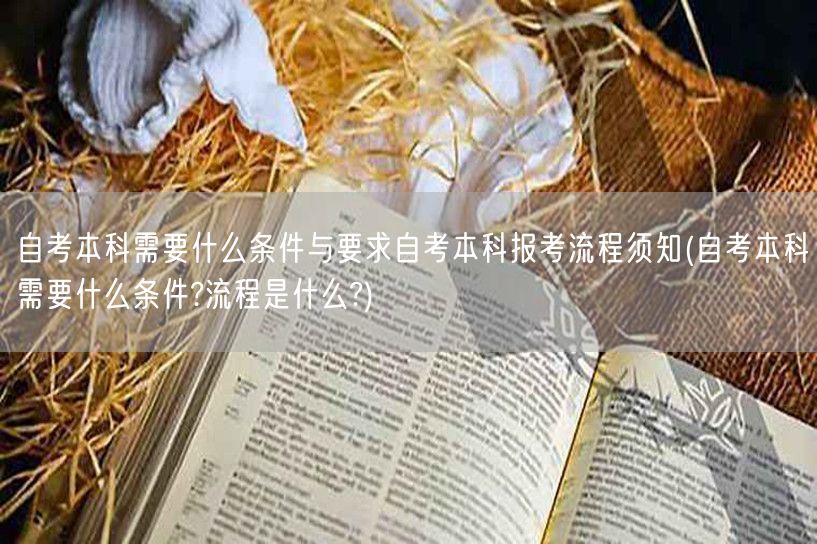 自考本科需要什么条件与要求自考本科报考流
