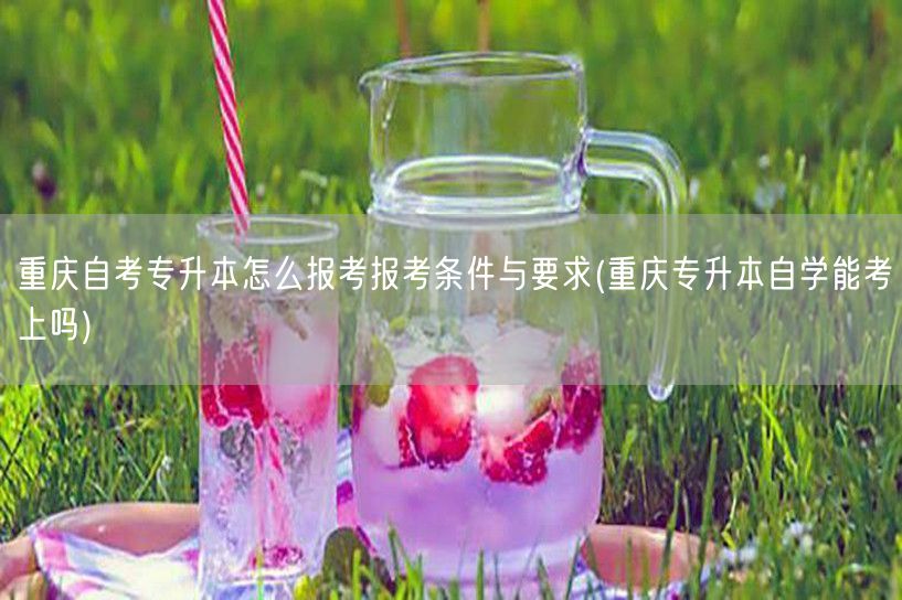 重庆自考专升本怎么报考报考条件与要求(重