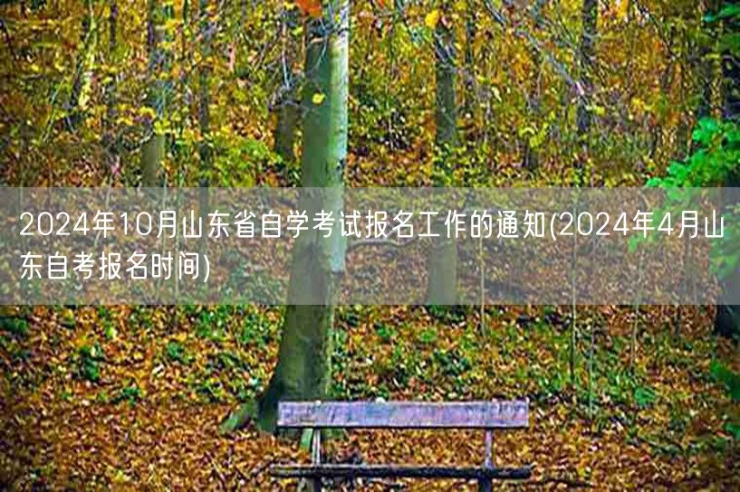 2024年10月山东省自学考试报名工作的