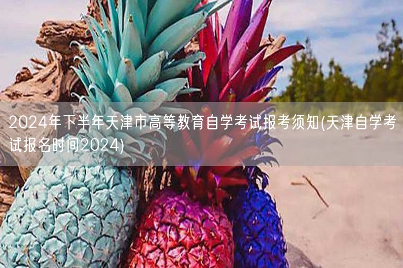 2024年下半年天津市高等教育自学考试报