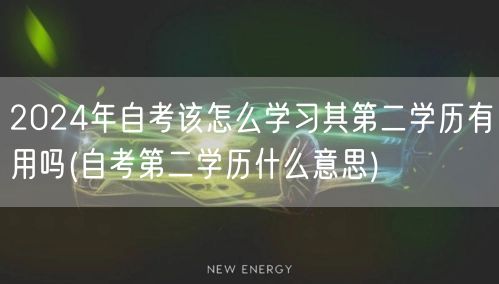 2024年自考该怎么学习其第二学历有用吗