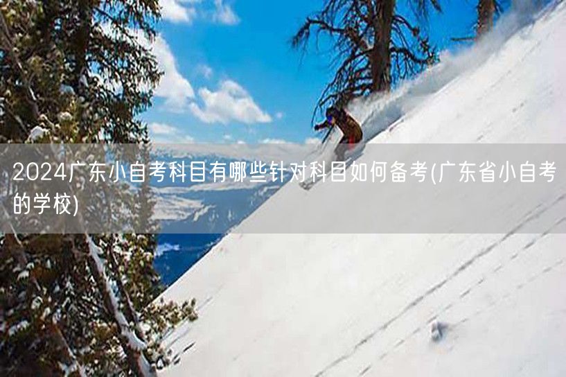 2024广东小自考科目有哪些针对科目如何