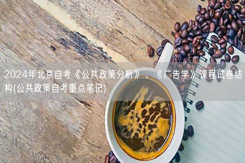 2024年北京自考《公共政策分析》、《广