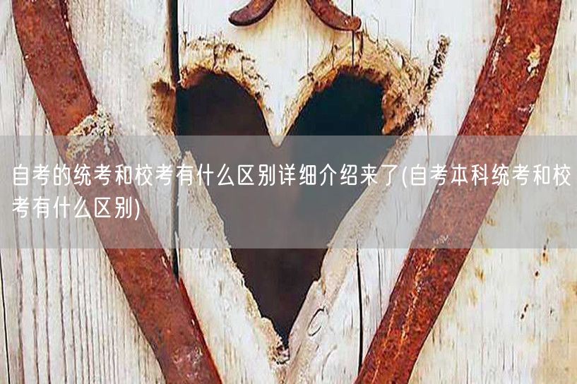 自考的统考和校考有什么区别详细介绍来了(