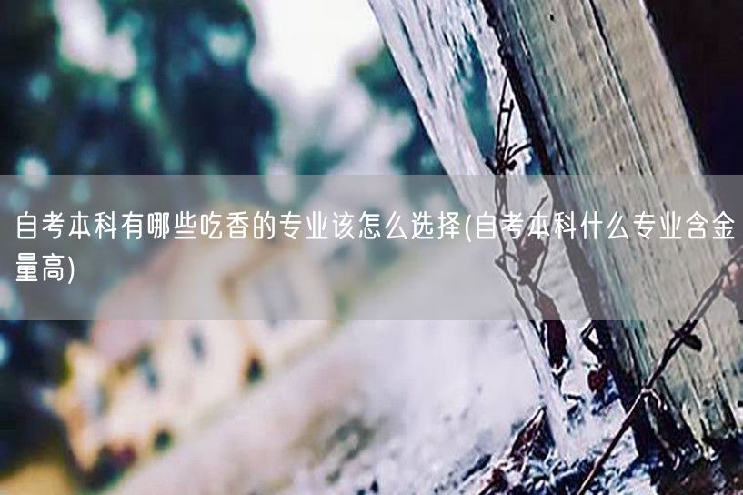 自考本科有哪些吃香的专业该怎么选择(自考