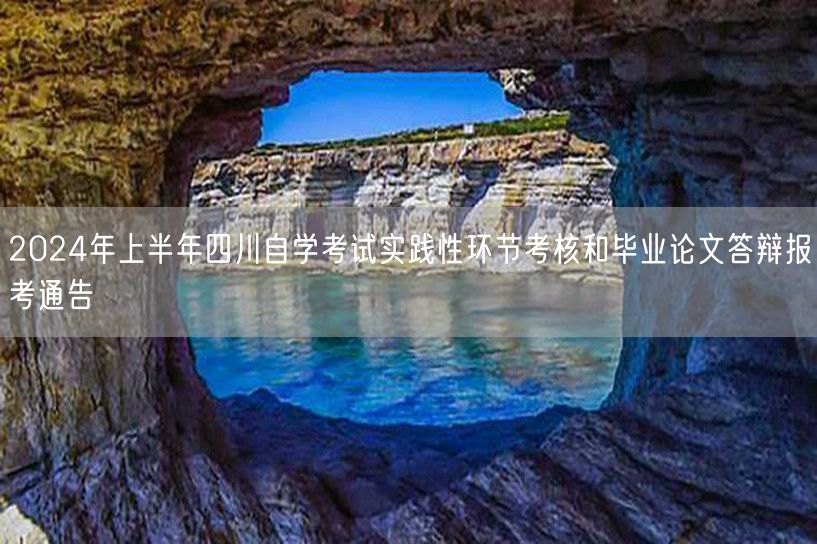 2024年上半年四川自学考试实践性环节考