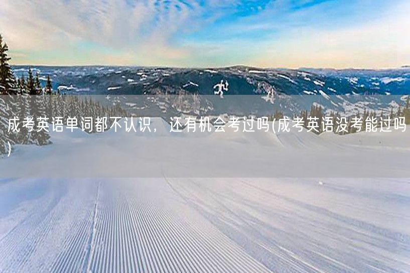 成考英语单词都不认识，还有机会考过吗(成