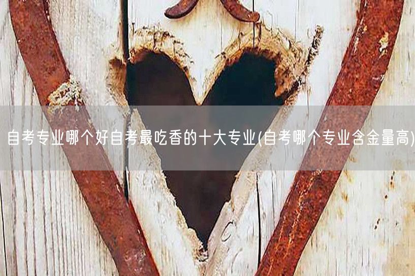 自考专业哪个好自考最吃香的十大专业(自考