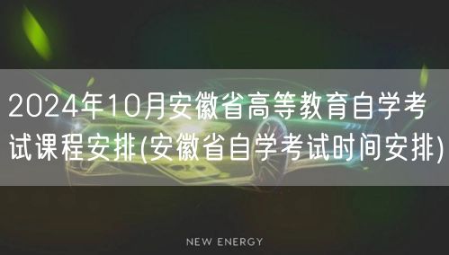 2024年10月安徽省高等教育自学考试课