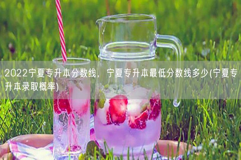 2022宁夏专升本分数线，宁夏专升本最低