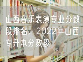 山西音乐表演专业分数段排名，2022年山