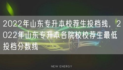 2022年山东专升本校荐生投档线，202