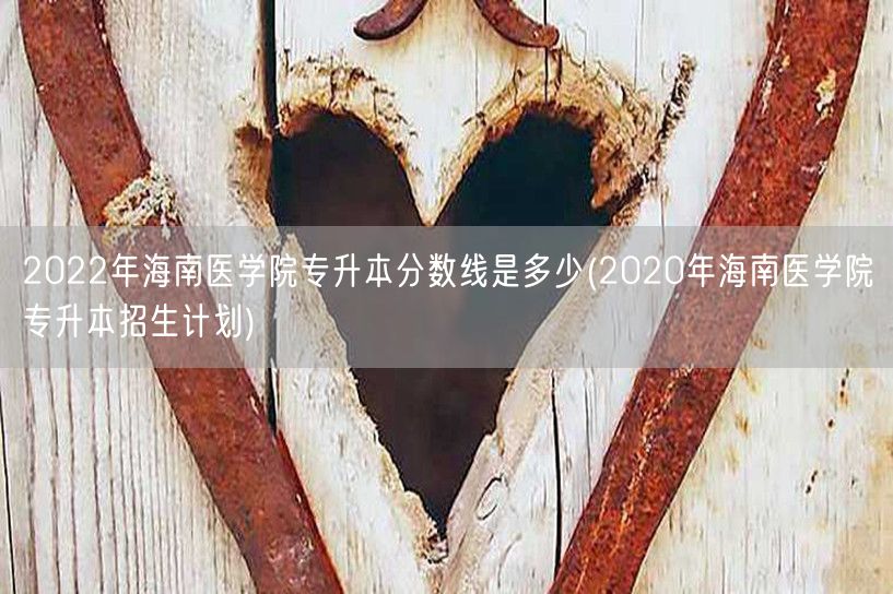 2022年海南医学院专升本分数线是多少(