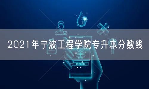 2021年宁波工程学院专升本分数线